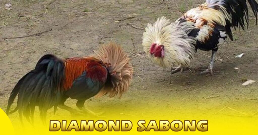Diamond Sabong
