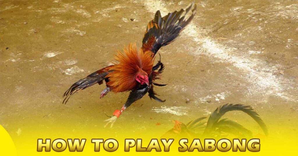 How to Play Online Sabong