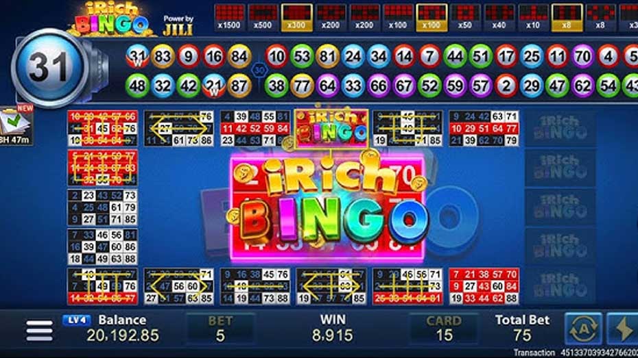 Understanding the Basics of iRich Bingo